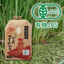 完売】栃木 有機コシヒカリ［有機栽培］ | お米マイスターの店 金子
