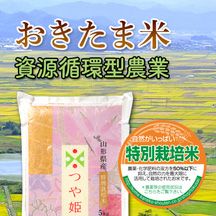 山形おきたま つや姫［特別栽培］ | お米マイスターの店 金子商店（結