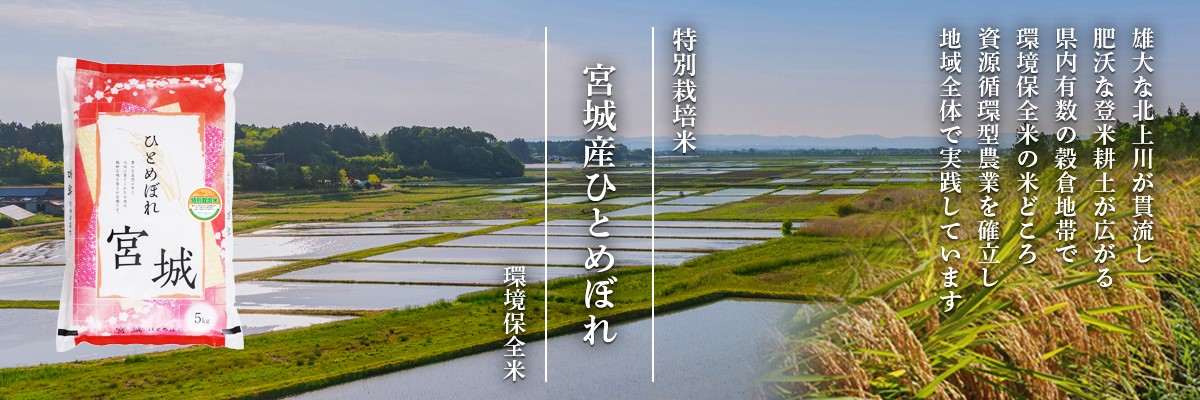 宮城登米産ひとめぼれ