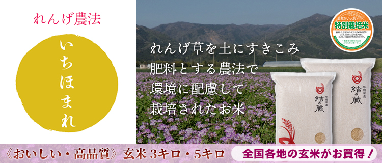 bnr_ichihomareSP.jpg