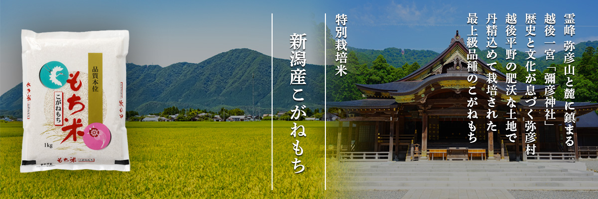 新潟産こがねもち