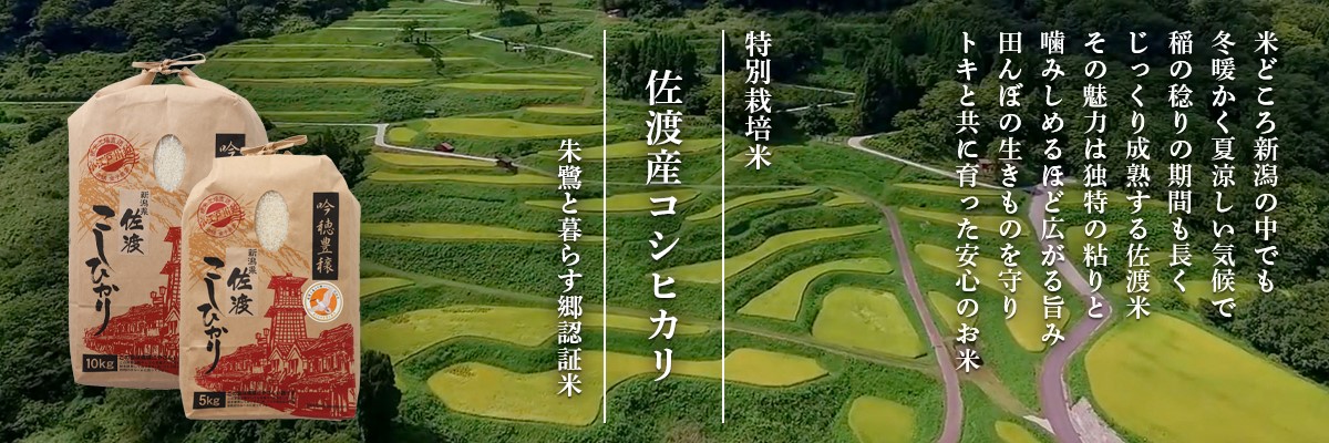 新潟佐渡産コシヒカリ