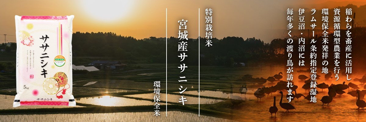 宮城登米産ササニシキ