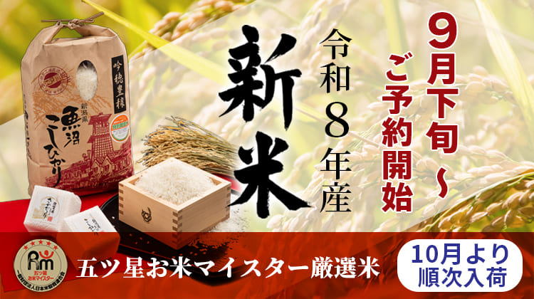 bnr_shinmaiyoyaku.jpg