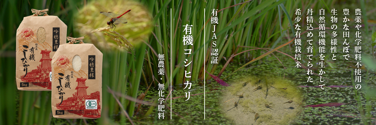 栃木産有機コシヒカリ