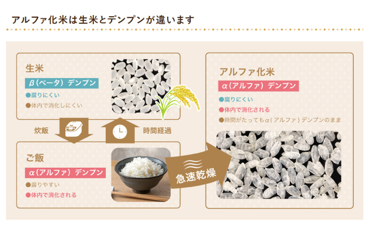 アルファ化米と生米のデンプンの違い