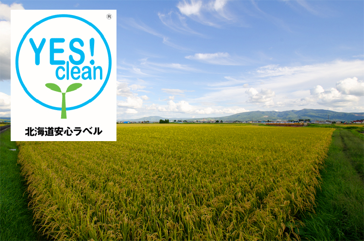 YES!cleanの取り組み