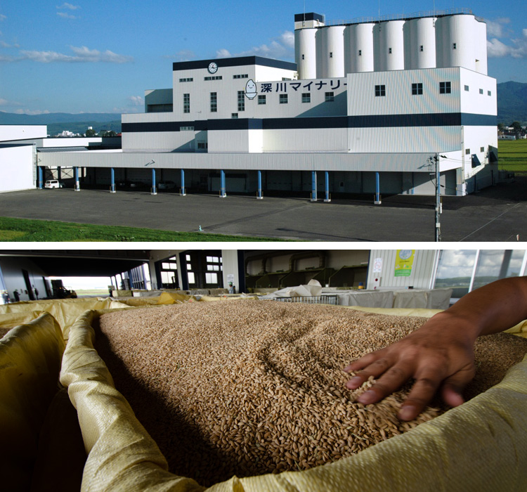 深川マイナリー