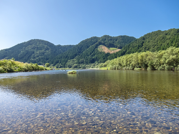 三面川イメージ