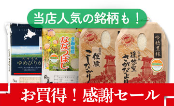 売りつくしセール