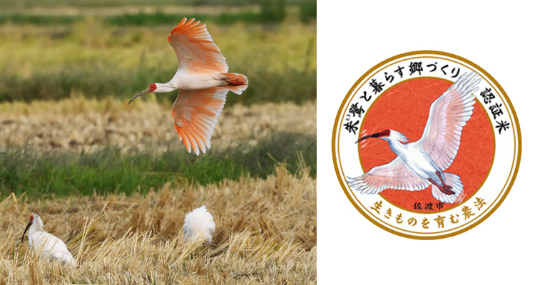 朱鷺と暮らす郷づくり