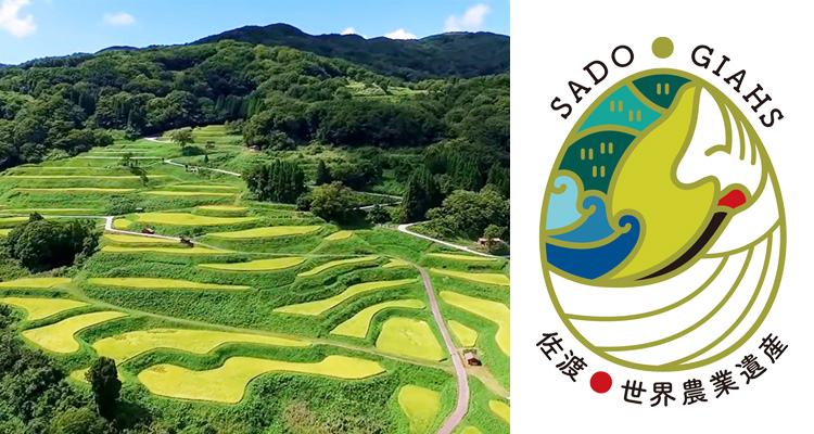佐渡棚田