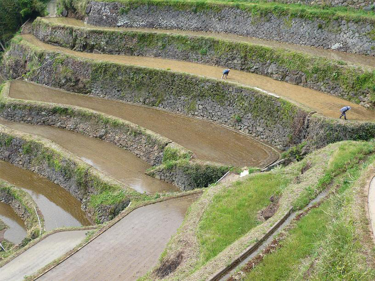 逢地さがびより