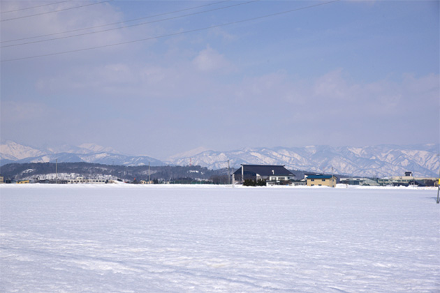 一面銀世界の圃場
