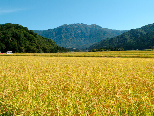 南魚沼産地イメージ
