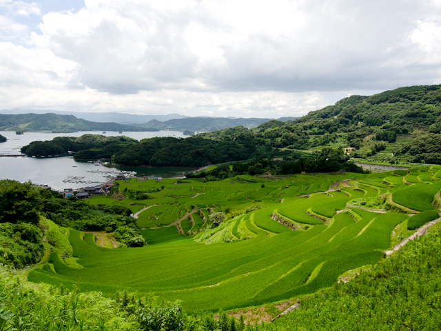 大浦の棚田