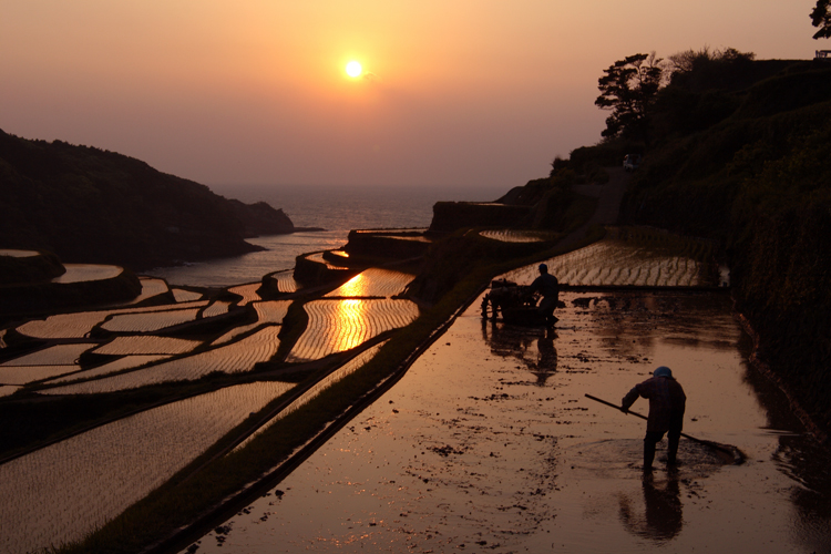 棚田夕日