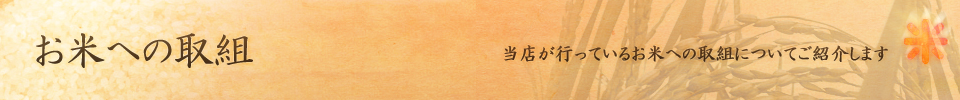 お米への取組