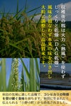 美郷町六郷 DAG乾燥米