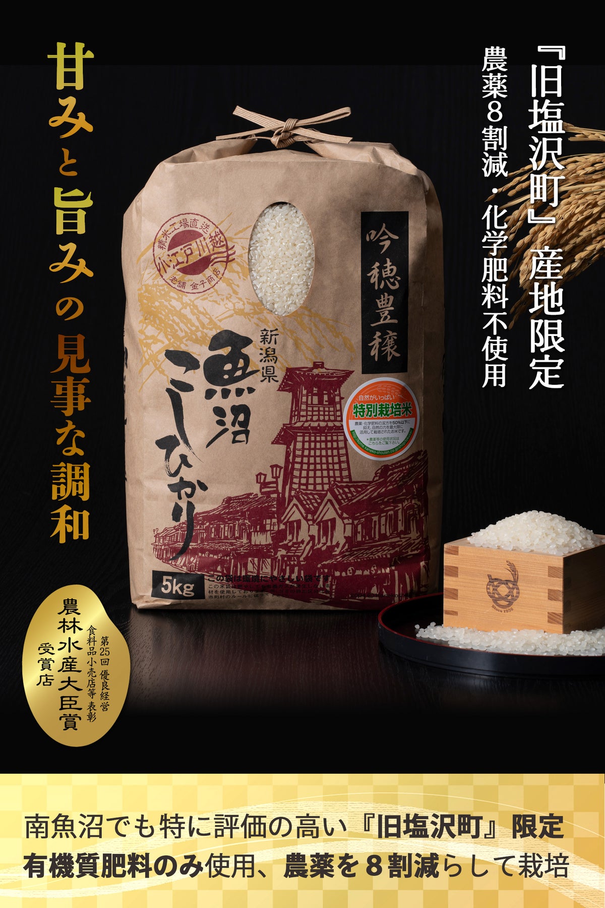 南魚沼_冬_雪