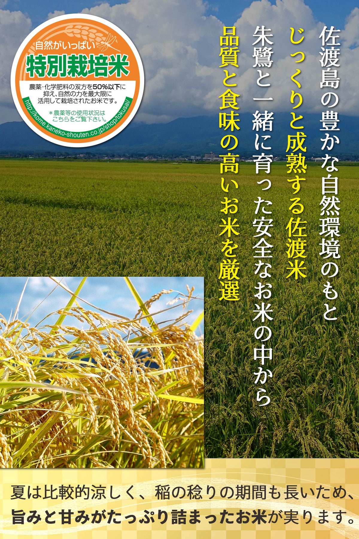 新潟県佐渡産地