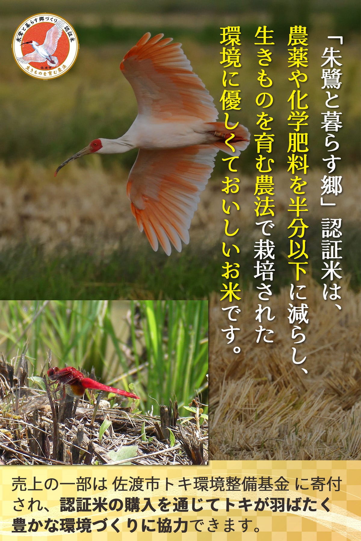 朱鷺と暮らす郷栽培紹介
