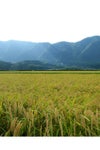 新潟県弥彦村