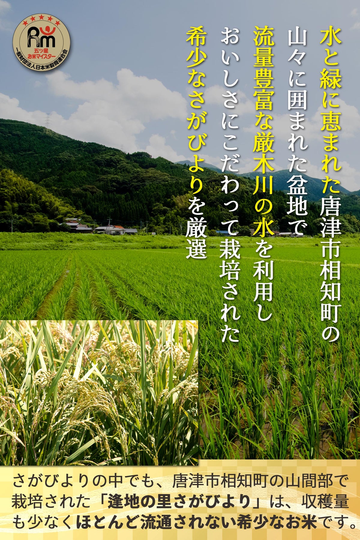 逢地の里さがびより産地