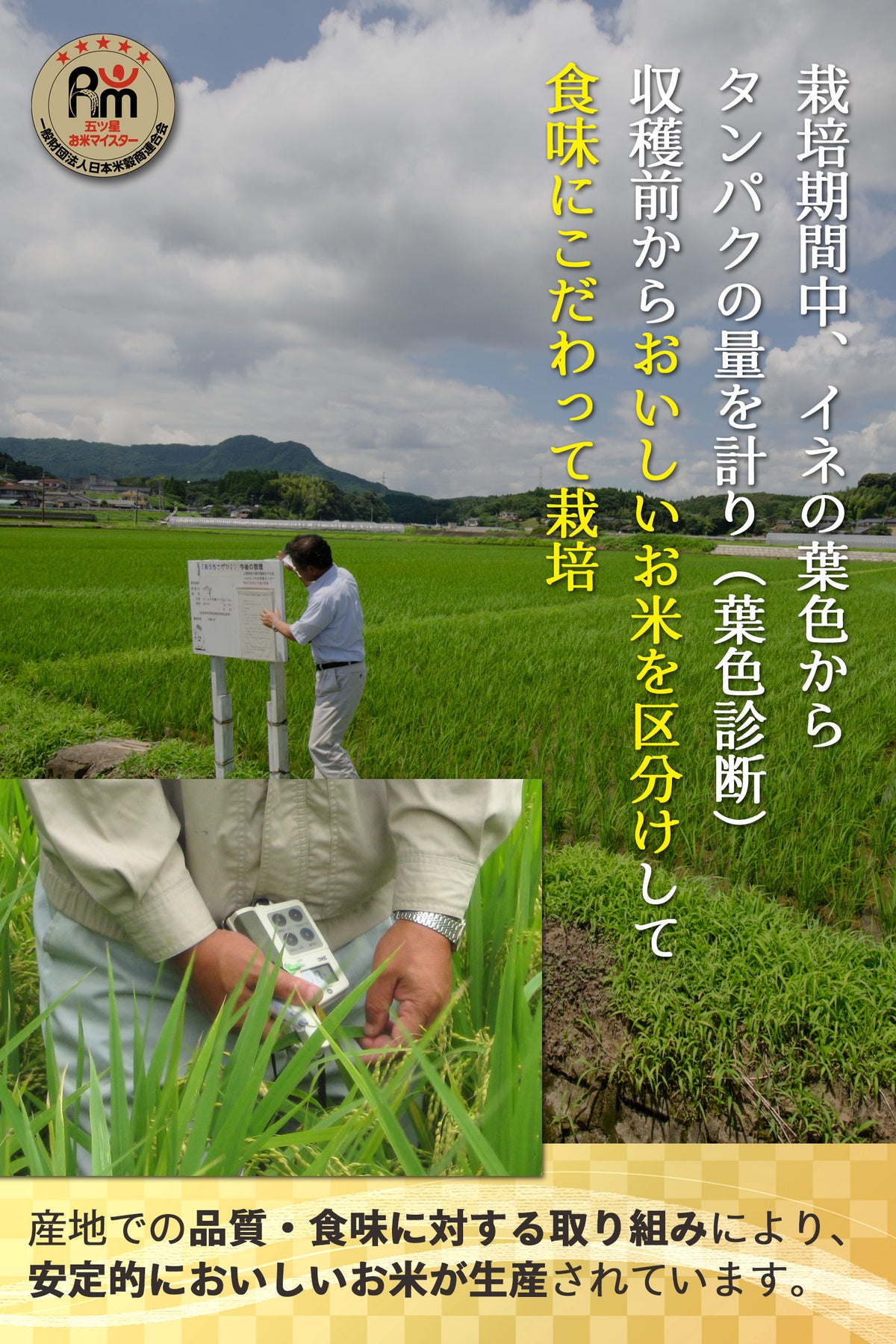 栽培への取り組み