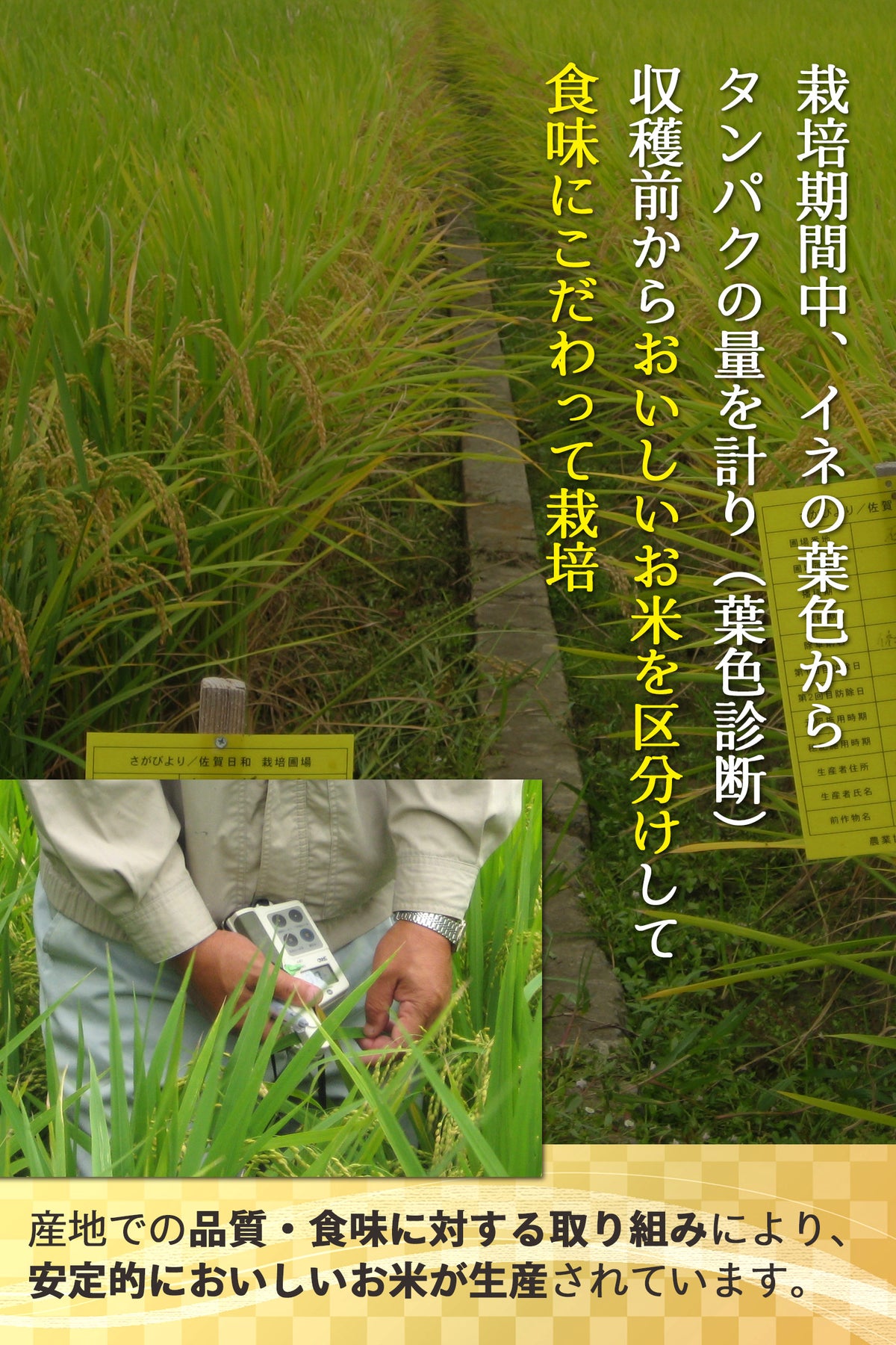 逢地の里さがびより 栽培への取り組み