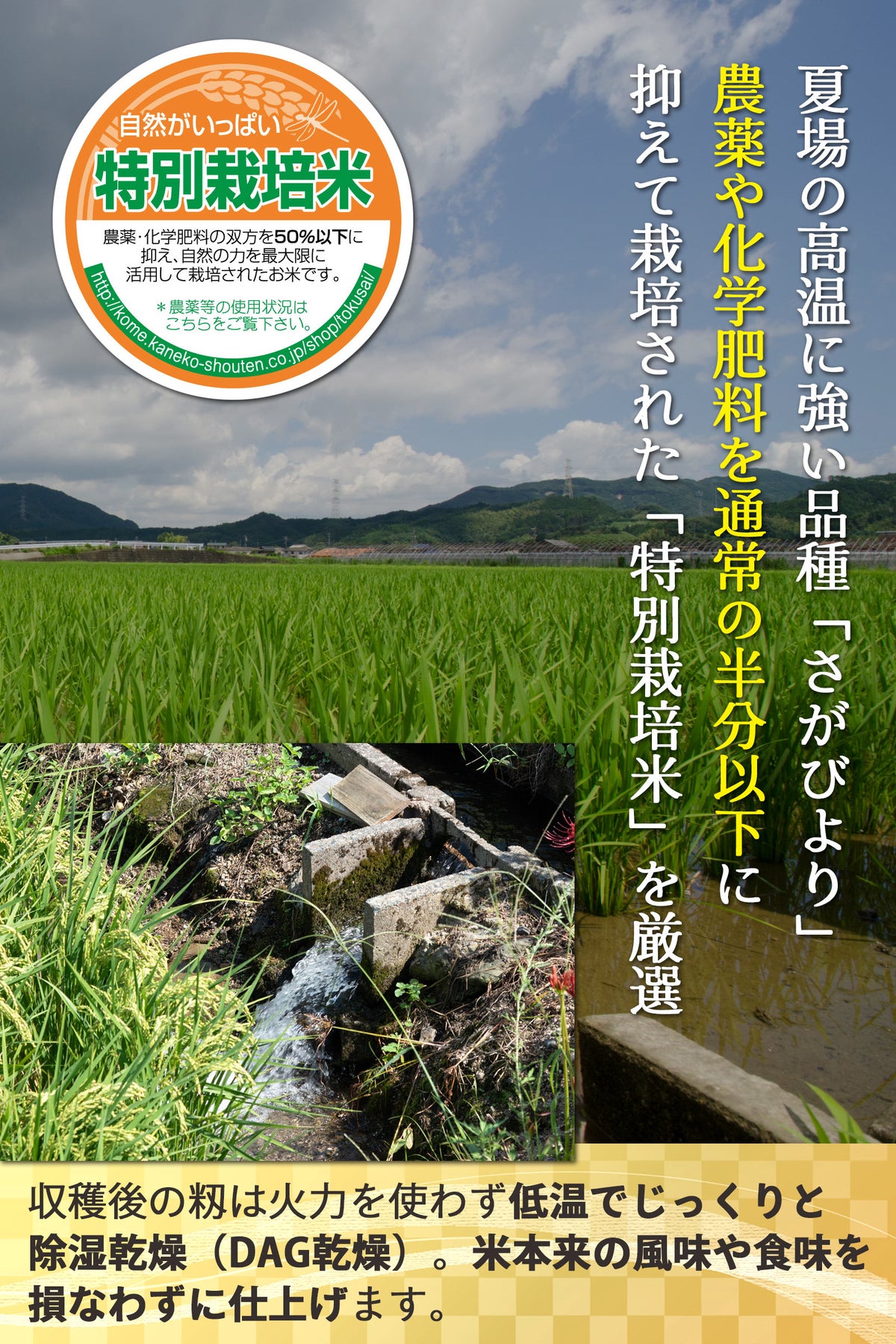 特別栽培・DAG乾燥