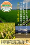 山形置賜（おきたま）