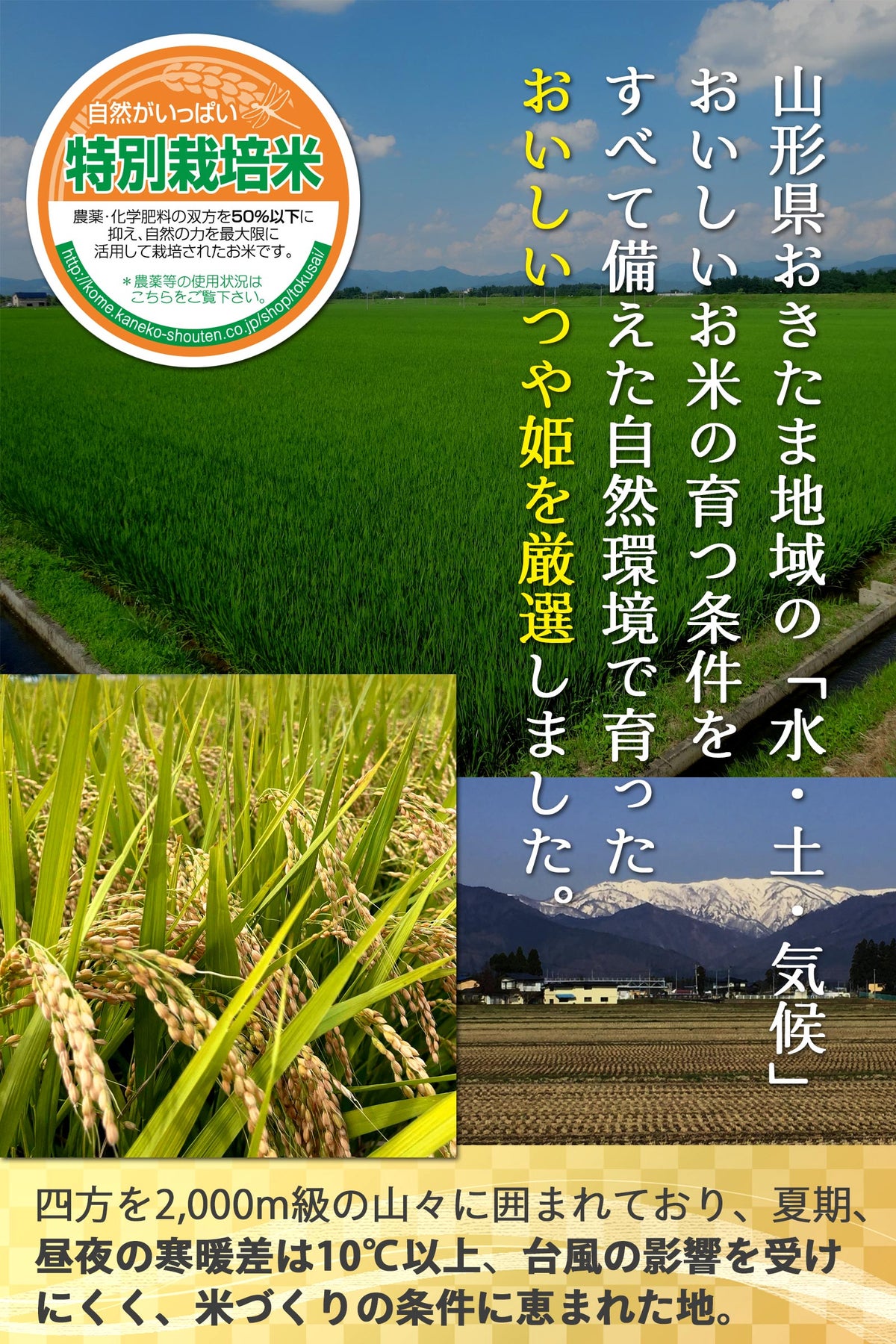 山形置賜（おきたま）