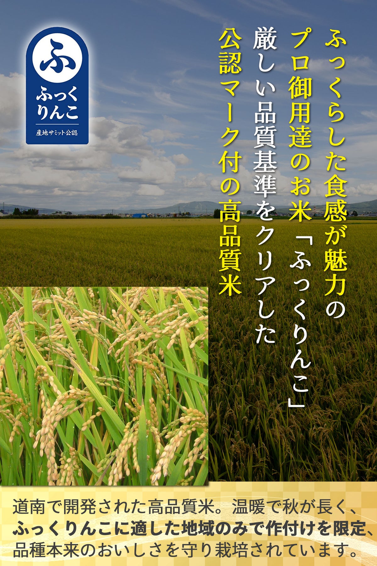 北海道深川 産地紹介