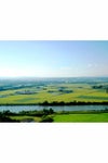 北海道深川 産地