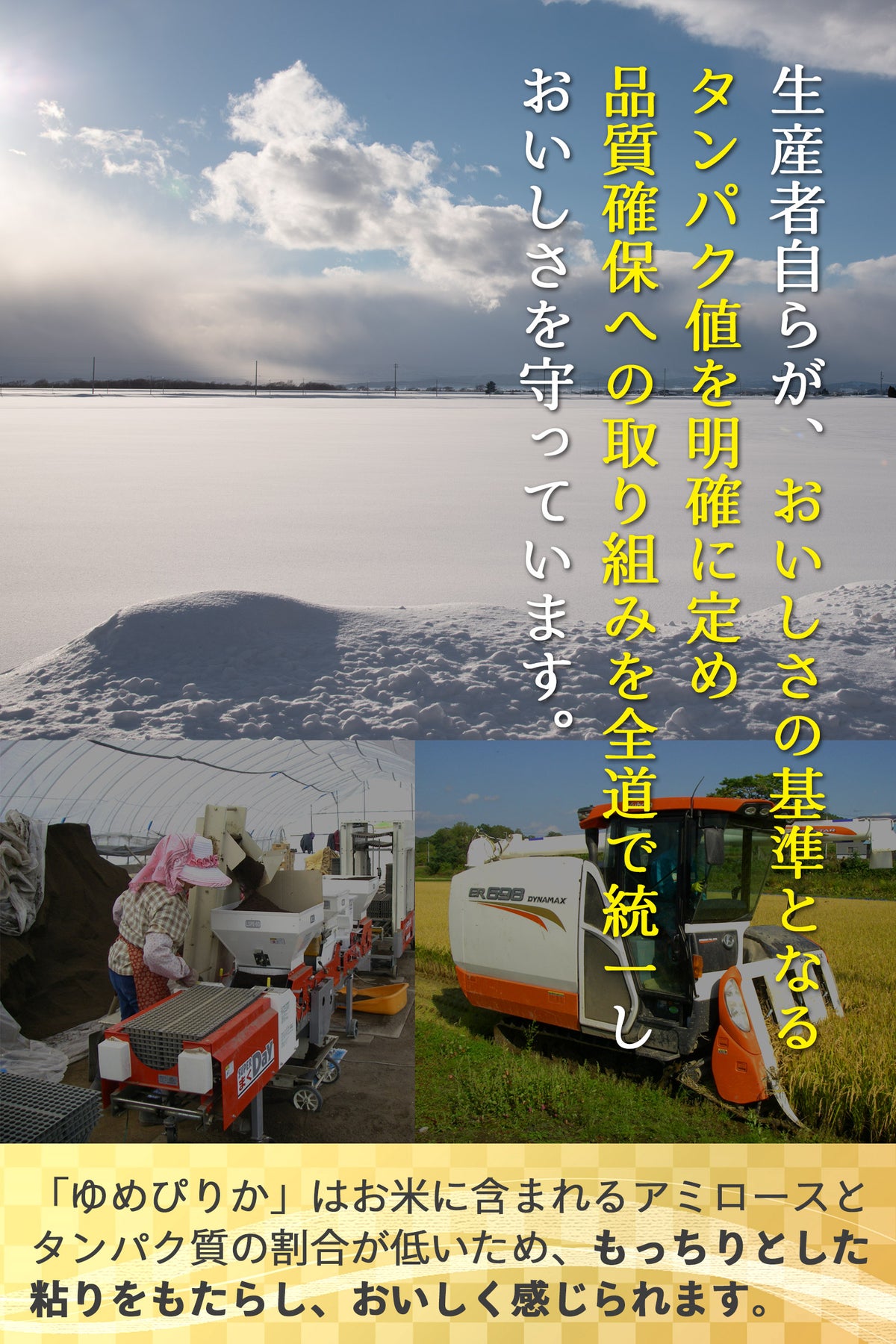 ゆめぴりか栽培紹介