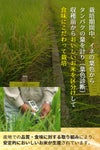 逢地の里さがびより 栽培への取り組み