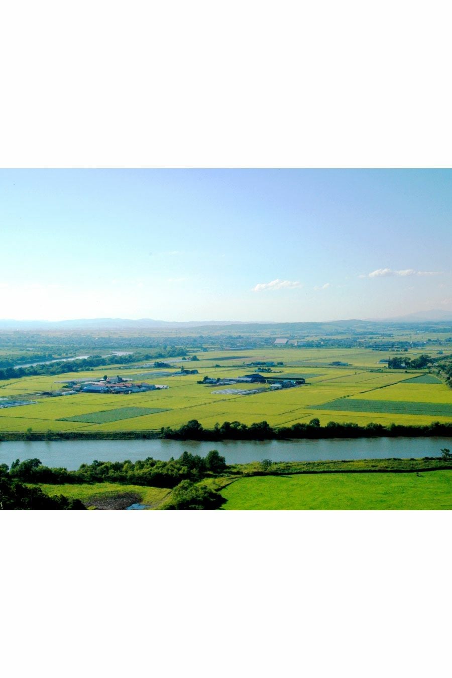 北海道深川 産地