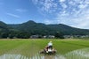 永平寺町田んぼ