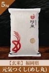福岡県元気つくし（めし丸）